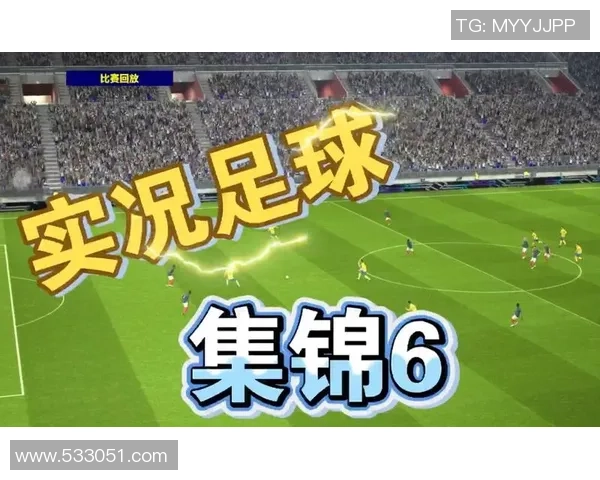 黑足球的人：在绿茵场上追逐梦想与荣耀的奋斗者们